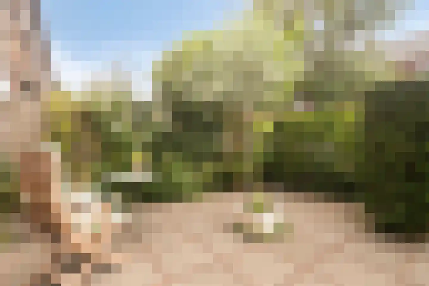 Jonge Kuiperstraat 8 Koog aan de Zaan thumbnail 6