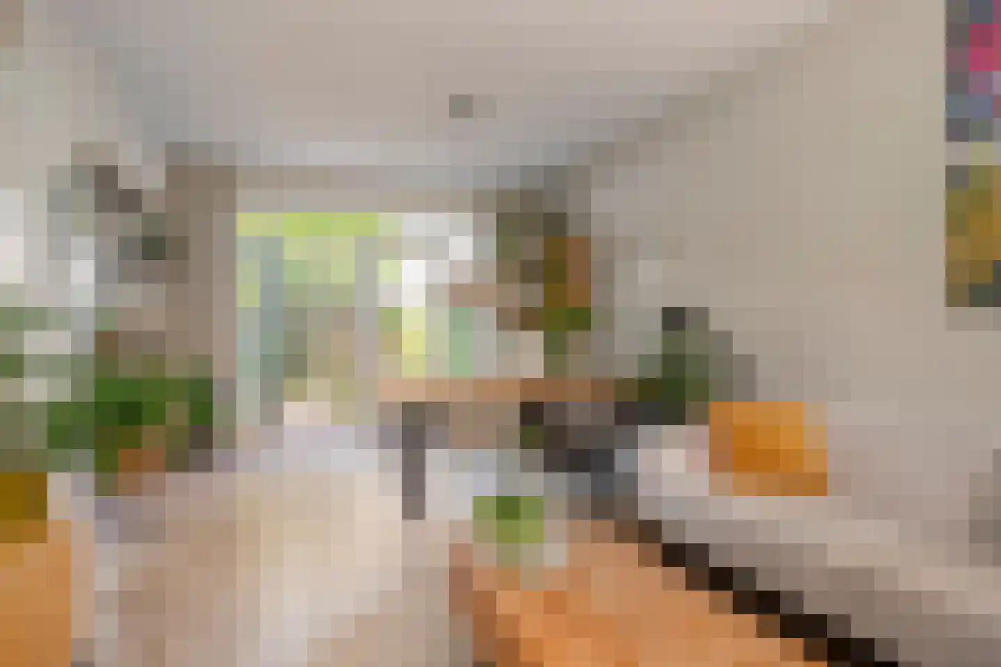 Jonge Kuiperstraat 8 Koog aan de Zaan thumbnail 9