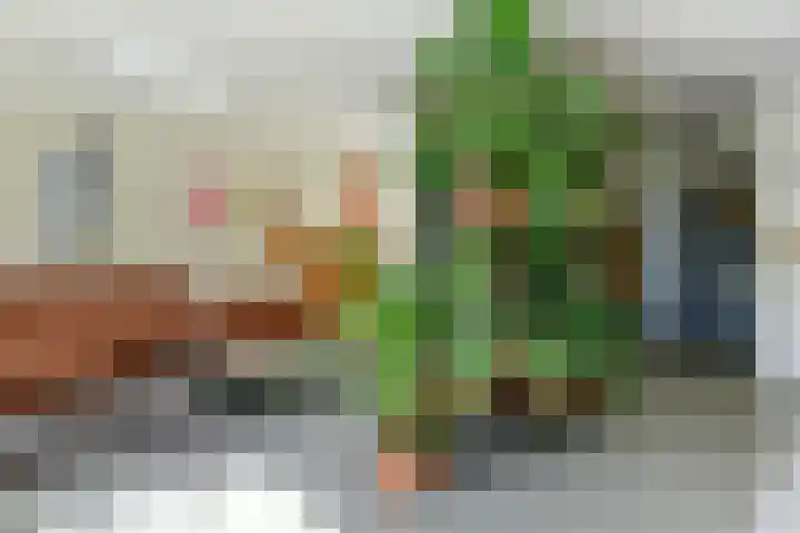 Jonge Linde 27 Ouderkerk aan de Amstel thumbnail 13