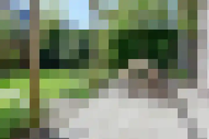 Jonge Linde 27 Ouderkerk aan de Amstel thumbnail 19