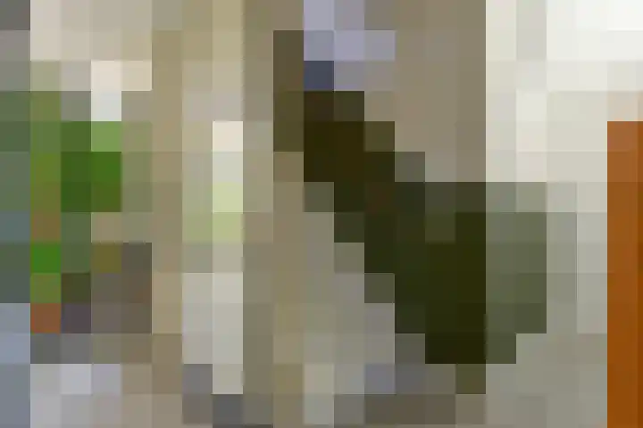 Jonge Linde 27 Ouderkerk aan de Amstel thumbnail 20