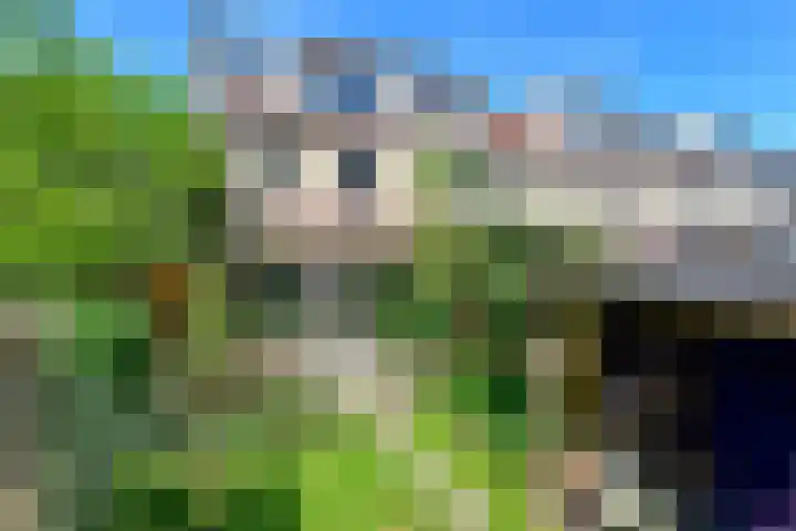 Jonge Linde 27 Ouderkerk aan de Amstel thumbnail 33