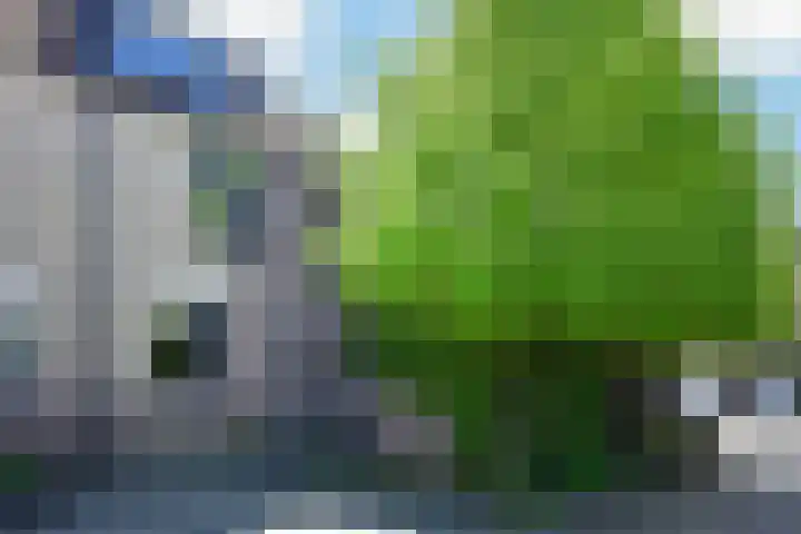 Jonge Linde 27 Ouderkerk aan de Amstel thumbnail 35