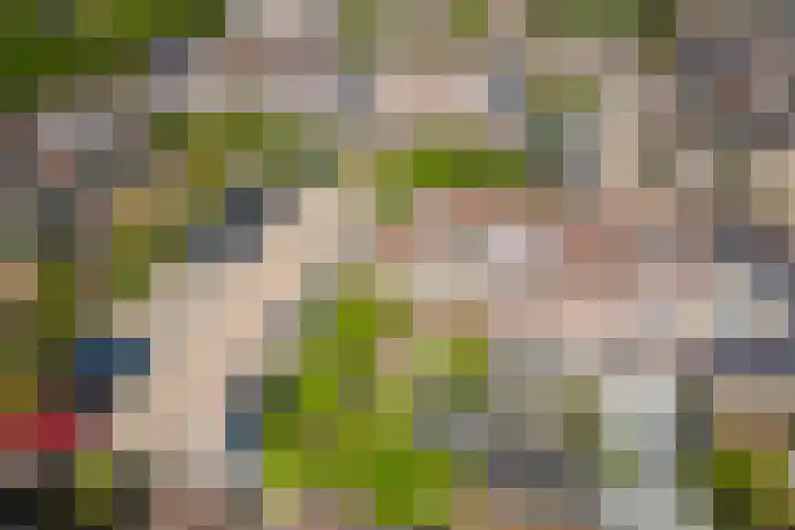 Jonge Linde 27 Ouderkerk aan de Amstel thumbnail 36