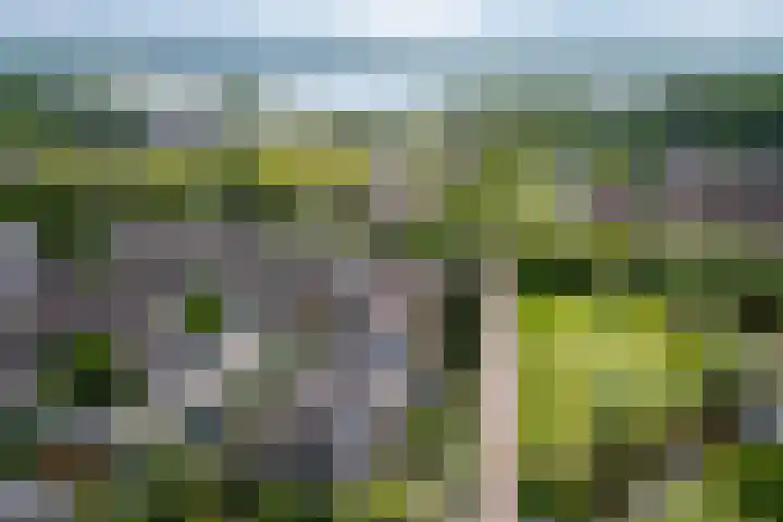 Jonge Linde 27 Ouderkerk aan de Amstel thumbnail 38