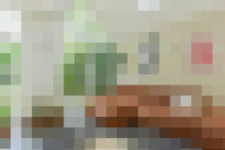 Jonge Linde 27 Ouderkerk aan de Amstel thumbnail 5