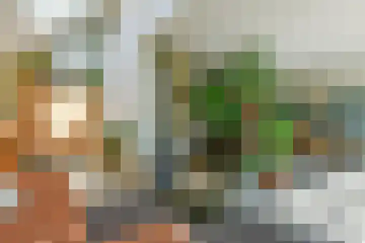 Jonge Linde 27 Ouderkerk aan de Amstel thumbnail 7