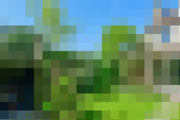Jonge Linde 27 Ouderkerk aan de Amstel thumbnail 9