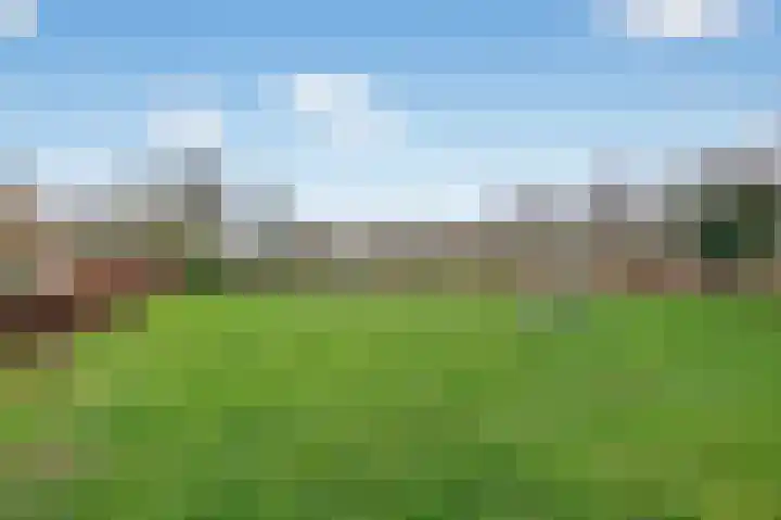 Jonge Linde 36 Ouderkerk aan de Amstel thumbnail 10