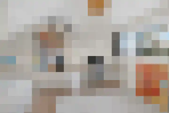 Jonge Linde 36 Ouderkerk aan de Amstel thumbnail 30
