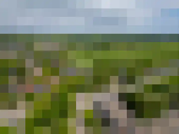 Jonge Linde 36 Ouderkerk aan de Amstel thumbnail 32