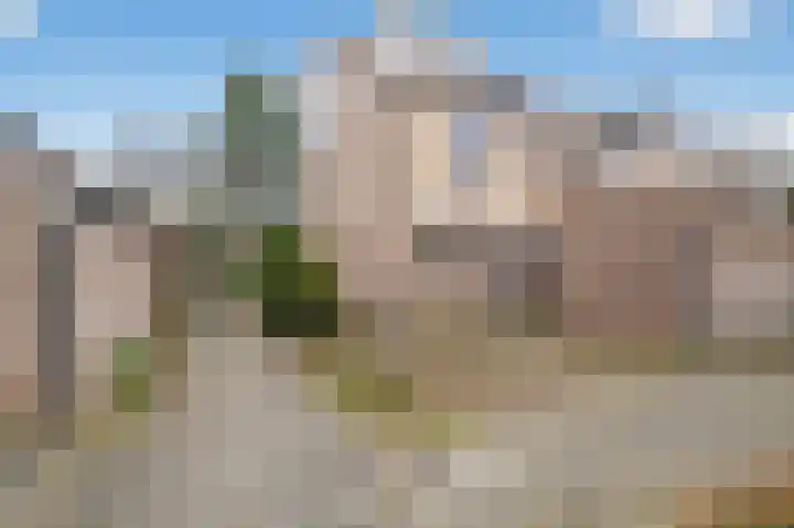 Jonge Linde 36 Ouderkerk aan de Amstel thumbnail 4