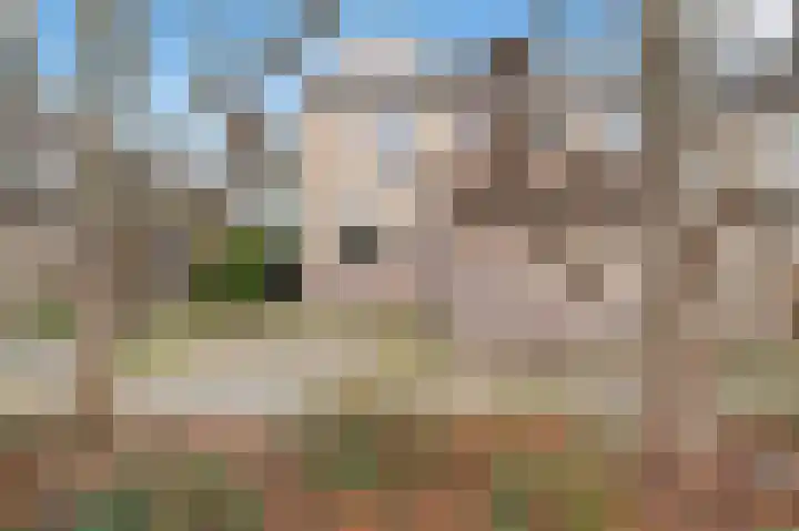 Jonge Linde 36 Ouderkerk aan de Amstel thumbnail 5