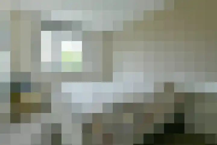 Jonge Linde 4 Ouderkerk aan de Amstel thumbnail 11