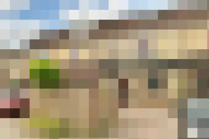 Jonge Linde 4 Ouderkerk aan de Amstel thumbnail 17