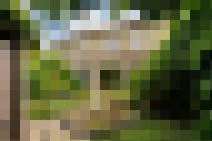 Jonge Linde 4 Ouderkerk aan de Amstel thumbnail 22