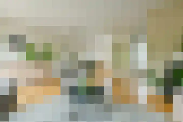 Jonge Linde 4 Ouderkerk aan de Amstel thumbnail 6