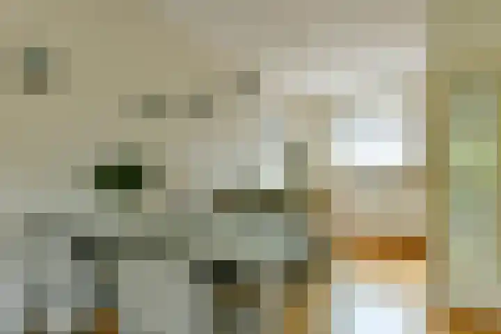 Jonge Linde 4 Ouderkerk aan de Amstel thumbnail 7