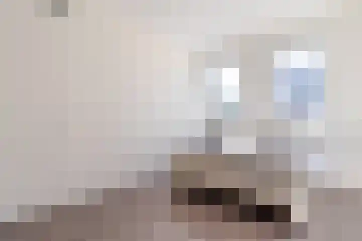Jonge Wolfstraat 40 Wormer thumbnail 19