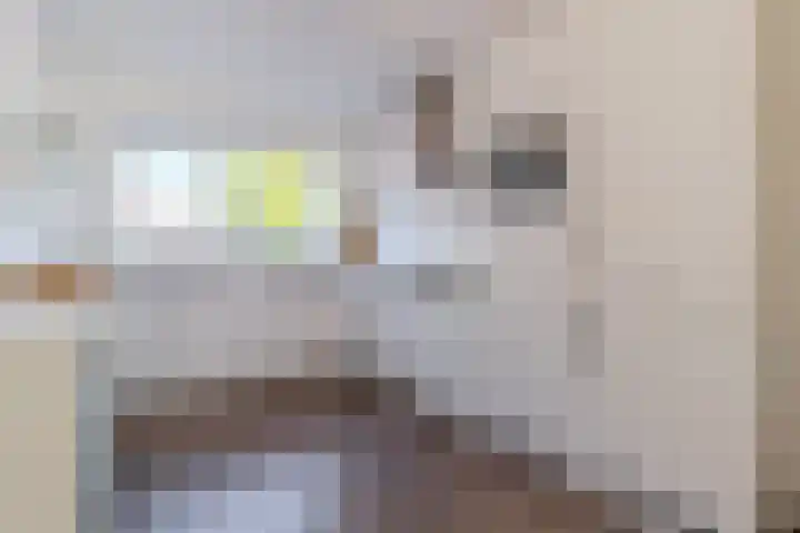 Jonge Wolfstraat 40 Wormer thumbnail 6