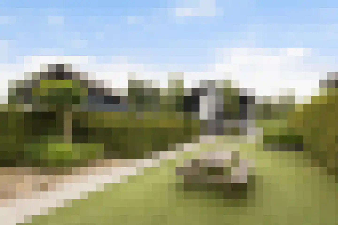 Jongebuorren 17 Terherne thumbnail 14