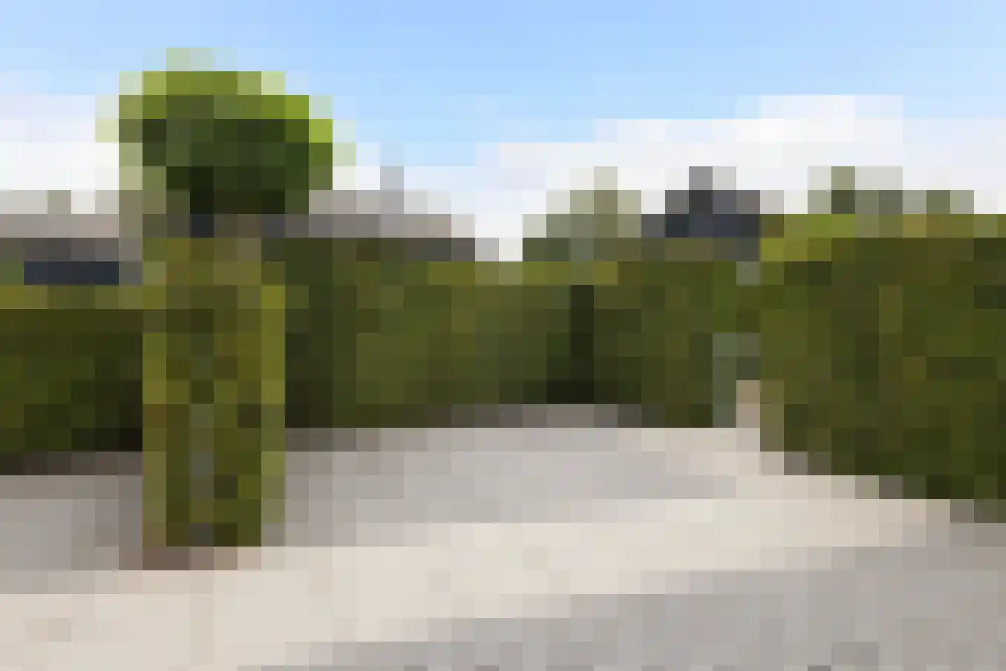 Jongebuorren 17 Terherne thumbnail 24