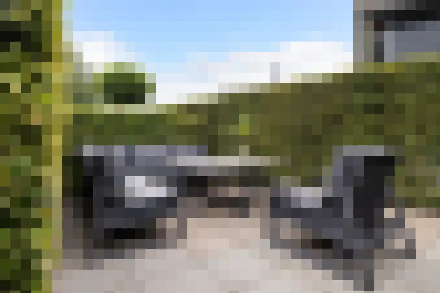 Jongebuorren 17 Terherne thumbnail 25