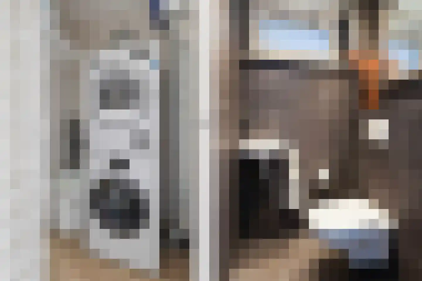 Jongebuorren 17 Terherne thumbnail 29