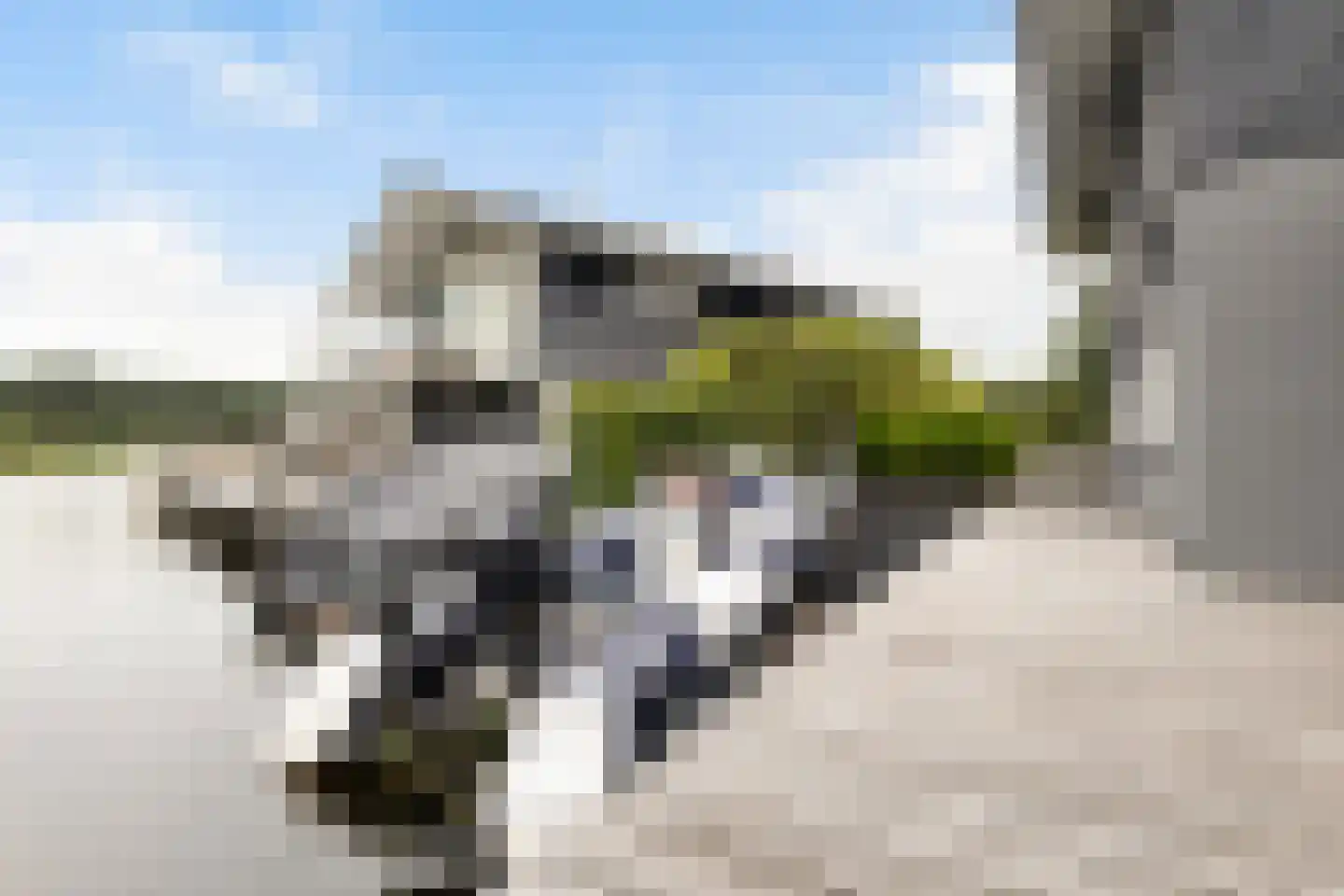 Jongebuorren 17 Terherne thumbnail 44