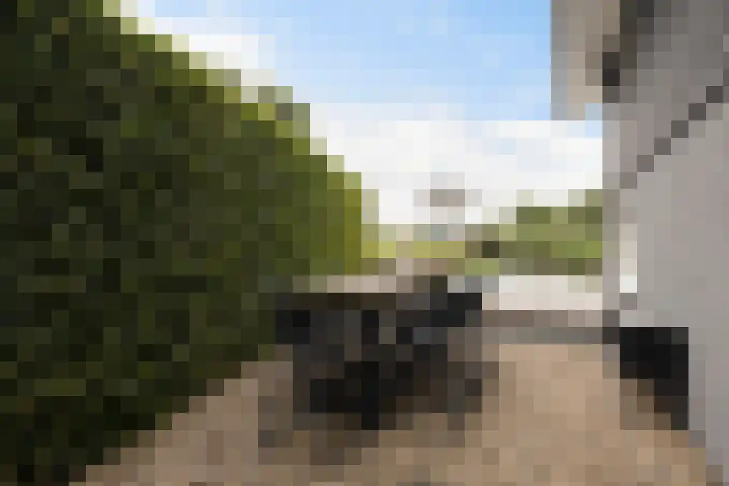 Jongebuorren 17 Terherne thumbnail 45