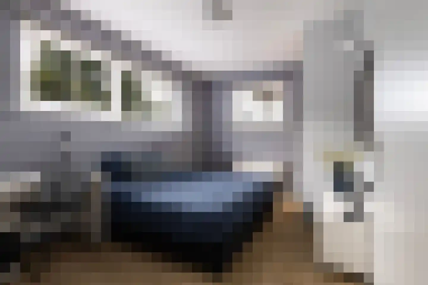 Jongebuorren 17 Terherne thumbnail 50