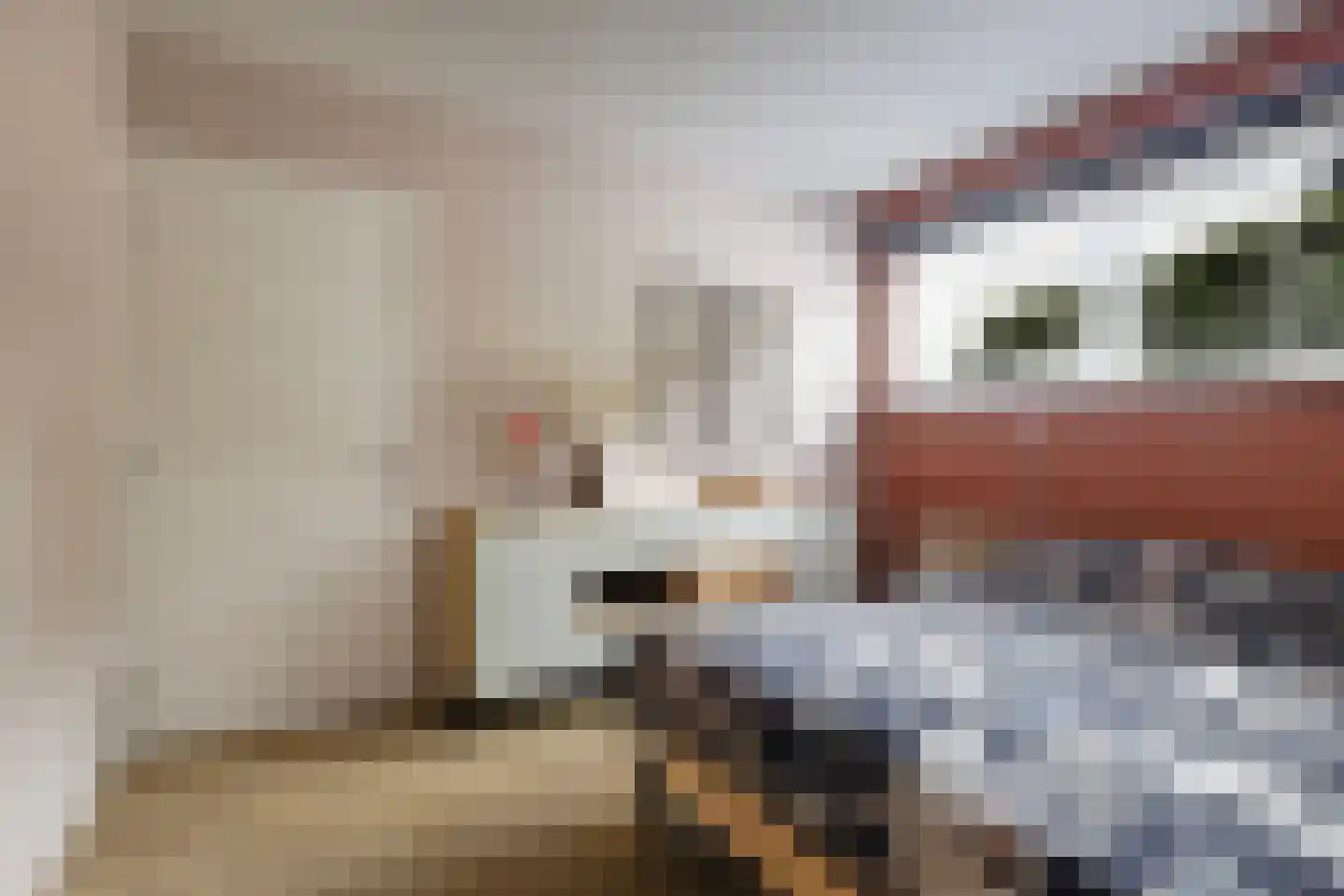 Jongebuorren 17 Terherne thumbnail 55