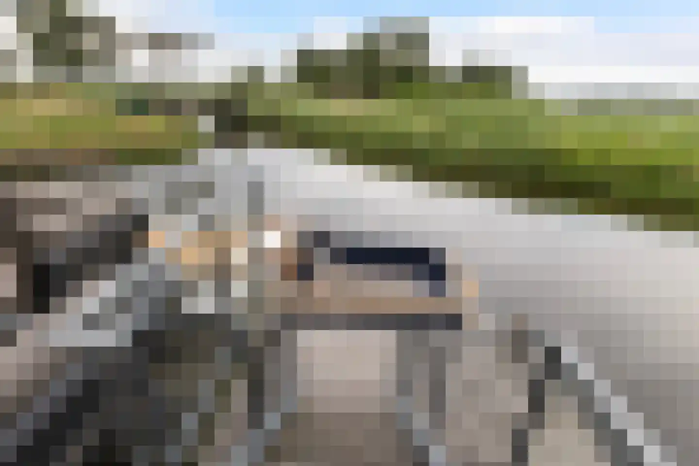 Jongebuorren 17 Terherne thumbnail 6