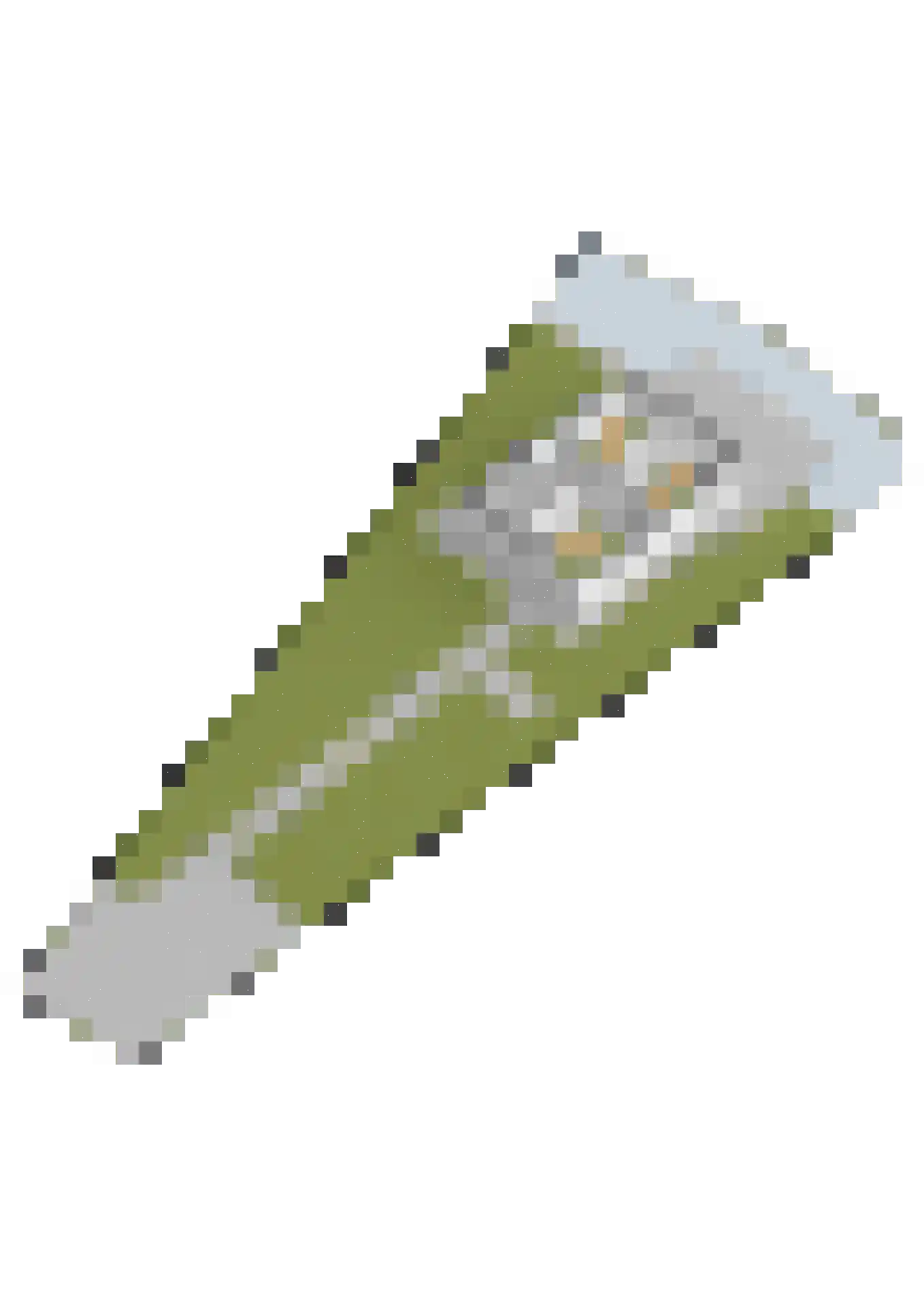 Jongebuorren 17 Terherne thumbnail 66