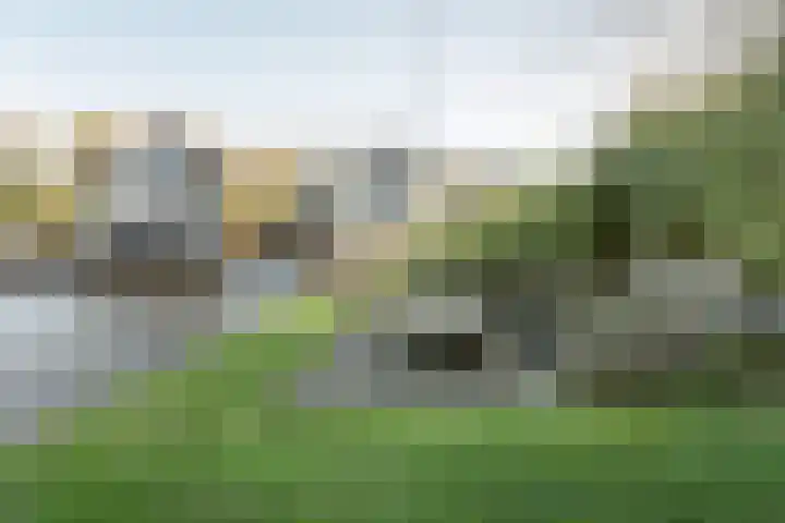 Jongebuorren 25 Terherne thumbnail 10