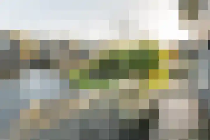 Jongebuorren 25 Terherne thumbnail 11