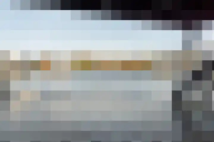 Jongebuorren 25 Terherne thumbnail 12