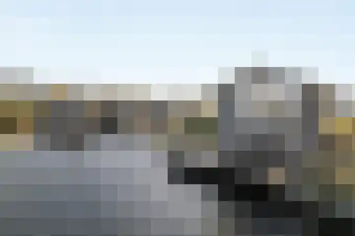 Jongebuorren 25 Terherne thumbnail 13