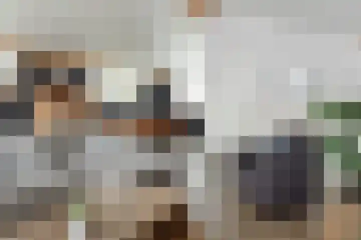Jongebuorren 25 Terherne thumbnail 15