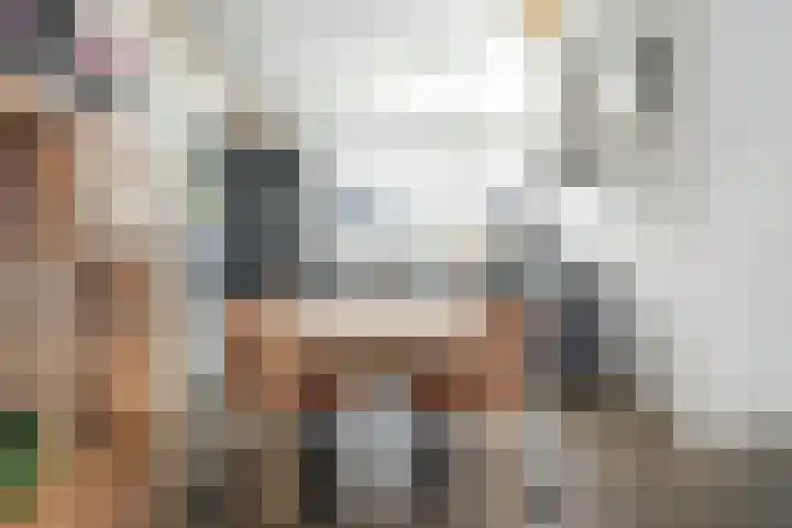 Jongebuorren 25 Terherne thumbnail 16
