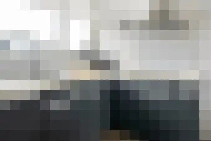 Jongebuorren 25 Terherne thumbnail 18