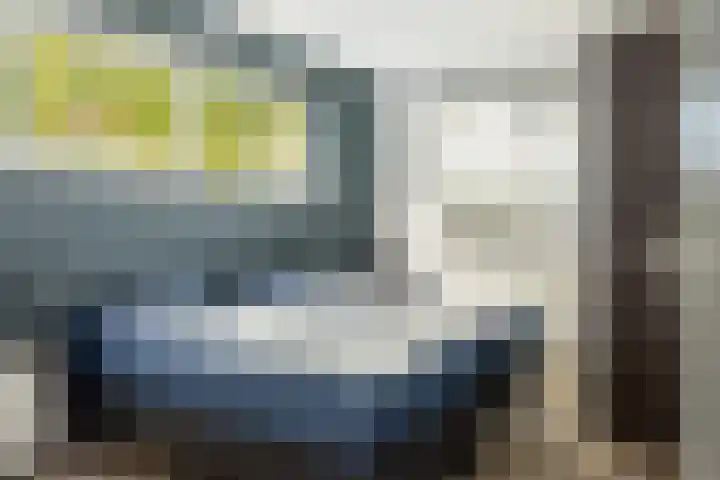 Jongebuorren 25 Terherne thumbnail 20