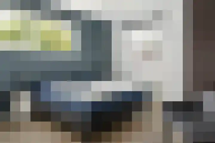Jongebuorren 25 Terherne thumbnail 22