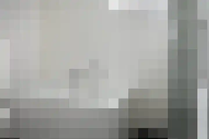 Jongebuorren 25 Terherne thumbnail 24