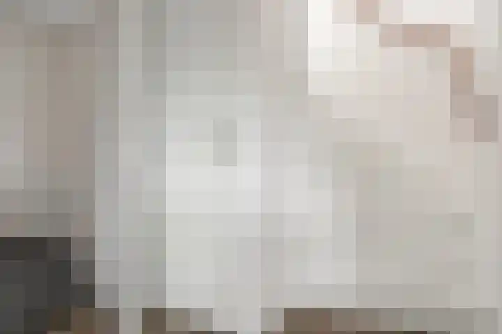Jongebuorren 25 Terherne thumbnail 25