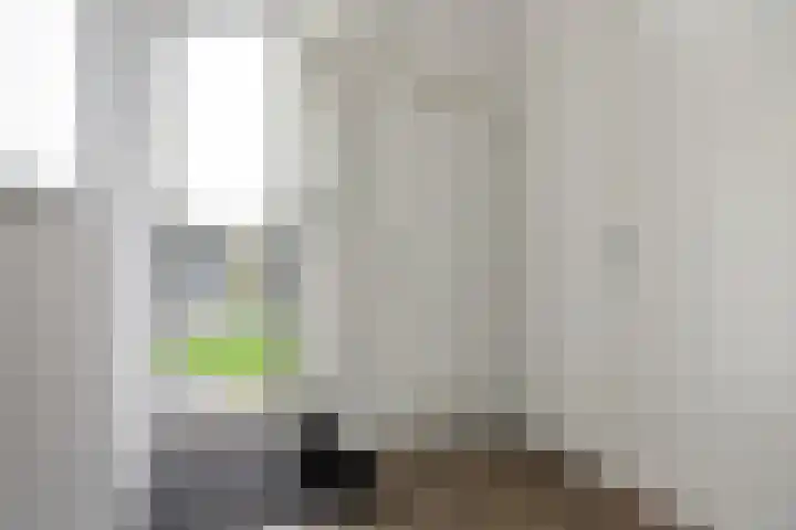 Jongebuorren 25 Terherne thumbnail 27