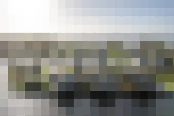 Jongebuorren 25 Terherne thumbnail 29