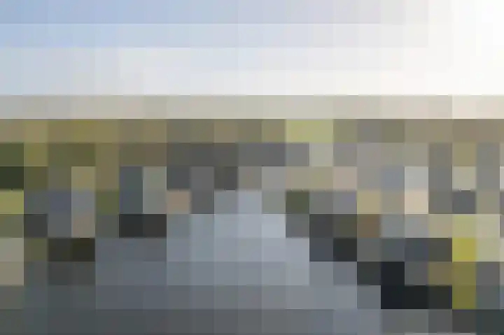 Jongebuorren 25 Terherne thumbnail 30