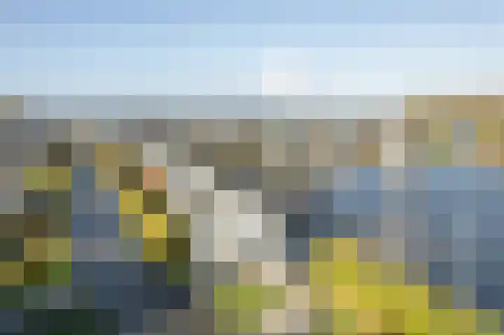 Jongebuorren 25 Terherne thumbnail 34