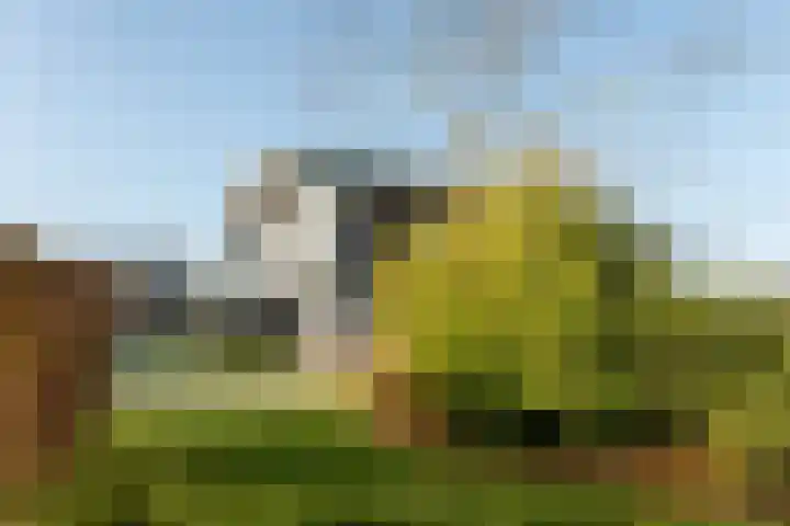 Jongebuorren 25 Terherne thumbnail 8